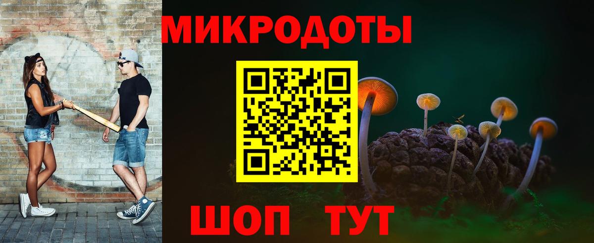 Псилоцибиновые грибы мицелий Усть-Илимск